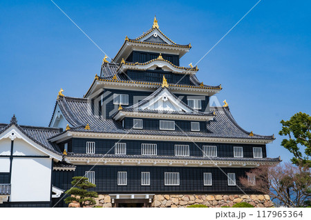 岡山市　青空に映える岡山城天守 117965364