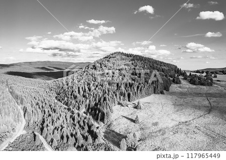 The green slopes of Bukovec Mountain rise above Jizerka village, showcasing forests and meadows under a bright summer sky during a sunny summer day. Black and white image. The green slopes of Bukovec Mountain rise above Jizerka village, showcasing forests and meadows under a bright summer sky during a sunny summer day. Black and white image. 117965449