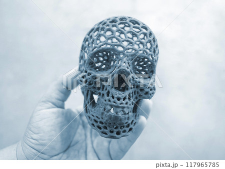 The person is holding in his hand a prototype of a human skull printed on a 3D printer. Gray human skull prototype made from molten plastic. 3D printing technology. Medicine. Medical The person is holding in his hand a prototype of a human skull printed on a 3D printer. Gray human skull prototype made from molten plastic. 3D printing technology. Medicine. Medical 117965785