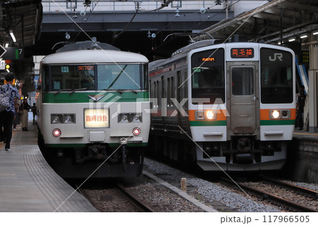 185系波動編成で運転された「谷川岳ループ」号_2024/6/9撮影 185系波動編成で運転された「谷川岳ループ」号_2024/6/9撮影 117966505