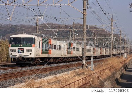 長大な編成を連ねて東海道線を疾走する185系特急踊り子号_2010/2/24撮影 長大な編成を連ねて東海道線を疾走する185系特急踊り子号_2010/2/24撮影 117966508