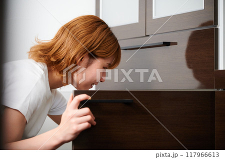 食器棚をあける女性　主婦　家事　料理　片付け 117966613