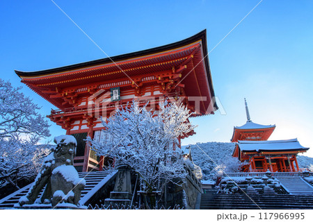 清水寺の雪景色 117966995