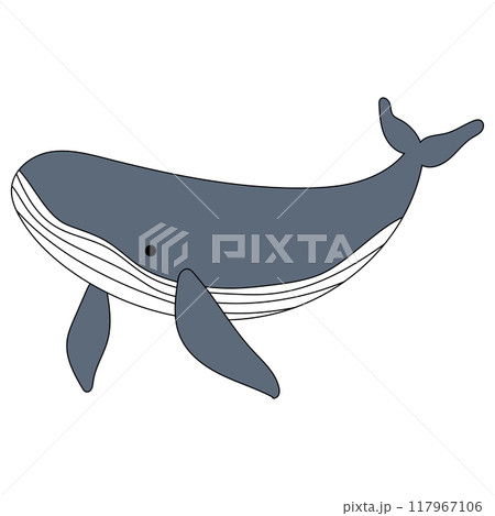 泳ぐクジラのイラスト 117967106