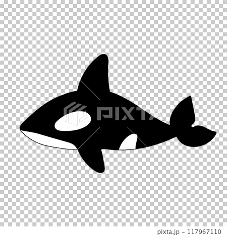 シンプルなシャチのイラスト 117967110