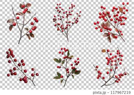 Six Branches of Red Berries with Leaves on a White Background 117967219