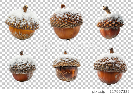 Six Snow-Covered Acorns Isolated on a White Background 117967325