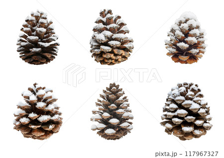 Six Pine Cones Covered in Snow 117967327