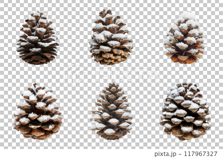 Six Pine Cones Covered in Snow 117967327
