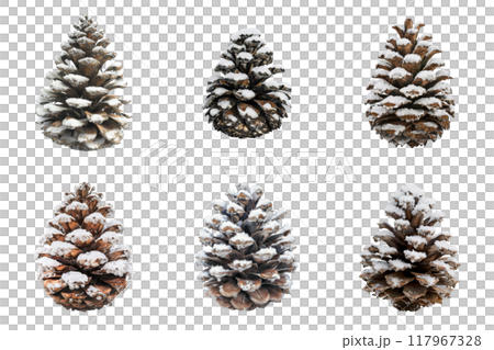 Six Snow-Covered Pine Cones Isolated on a White Background 117967328