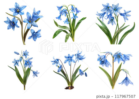 Six Watercolor Illustrations of Light Blue Flowers with Green Leaves 117967507