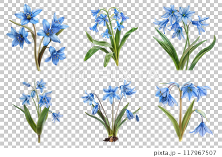 Six Watercolor Illustrations of Light Blue Flowers with Green Leaves 117967507