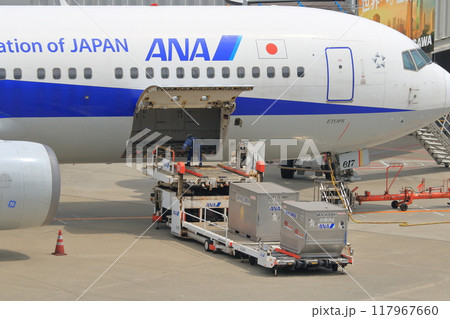 貨物の積み下ろしをする旅客機　羽田空港　 117967660