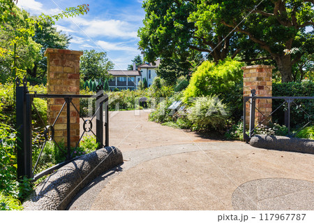 横浜市イギリス館　イングリッシュローズの庭 117967787