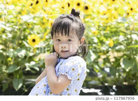 ひまわり畑で遊ぶ女の子 117967956