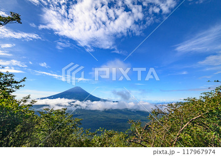 夏の富士山と青空の絶景（山梨県・王岳より） 117967974
