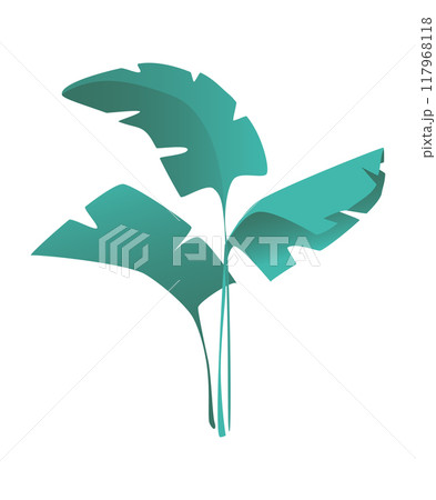 A minimalist flat vector illustration of a tropical plant featuring large green leaves this simple and elegant design captures the essence of nature in a modern art style 117968118