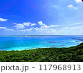 宮古島の大自然　青い海と空、白い雲 117968913