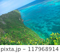 宮古島の透き通った海とサンゴ礁 117968914