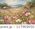 コスモスの花畑 117969056