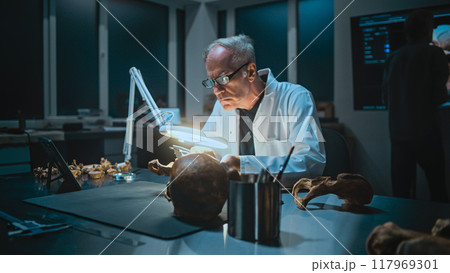 Senior archaeologist measures and studies fossil bones, uses tablet computer 117969301