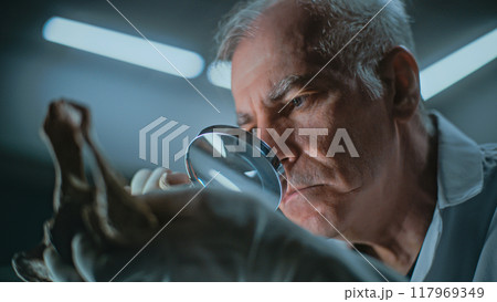 Senior archaeologist studies bones of prehistoric human or animal using magnifying glass 117969349
