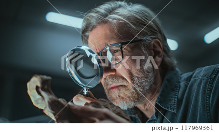 Mature archaeologist studies bones of prehistoric human or animal using magnifying glass Mature archaeologist studies bones of prehistoric human or animal using magnifying glass 117969361