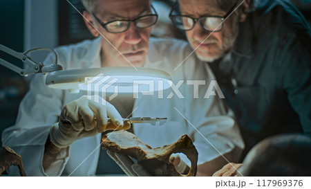 Senior archaeologist takes measurements of fossil bone with colleague 117969376