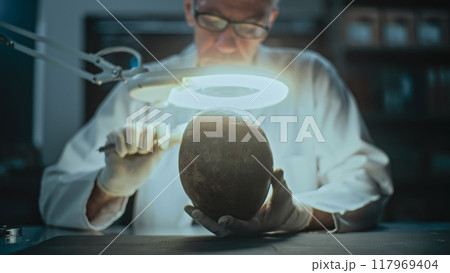 Senior archaeologist takes measurements of fossil skull in archaeological lab 117969404