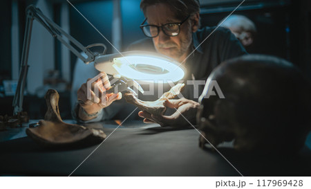 Mature archaeologist takes measurements of remains of prehistoric human Mature archaeologist takes measurements of remains of prehistoric human 117969428