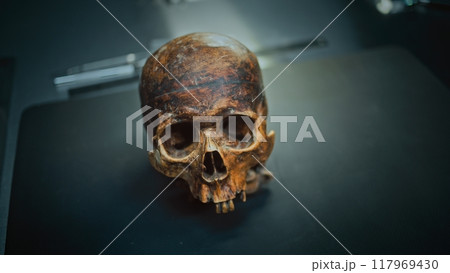 Skull of prehistoric human on working surface in archaeological lab Skull of prehistoric human on working surface in archaeological lab 117969430