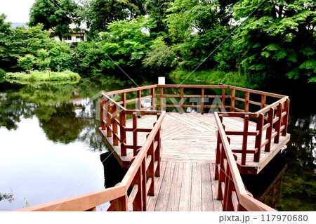 神奈川県相模原市 道保川公園水鳥の池観察デッキと新緑 神奈川県相模原市 道保川公園水鳥の池観察デッキと新緑 117970680
