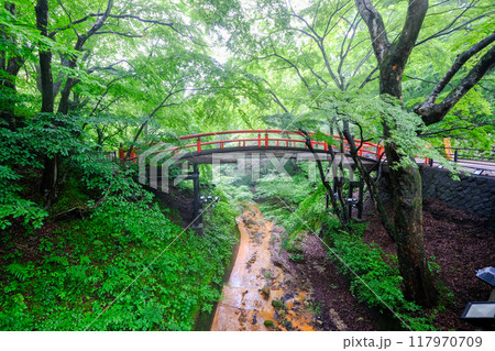 群馬県 渋川市 伊香保温泉 河鹿橋 群馬県 渋川市 伊香保温泉 河鹿橋 117970709
