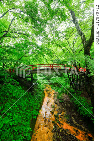 群馬県 渋川市 伊香保温泉 河鹿橋 群馬県 渋川市 伊香保温泉 河鹿橋 117970712