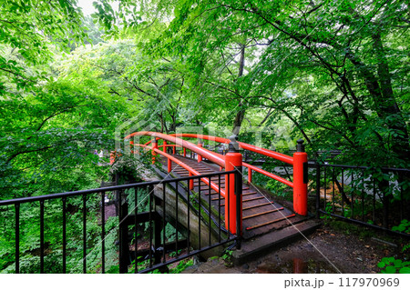 群馬県 渋川市 伊香保温泉 河鹿橋 群馬県 渋川市 伊香保温泉 河鹿橋 117970969