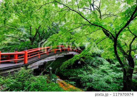 群馬県 渋川市 伊香保温泉 河鹿橋 群馬県 渋川市 伊香保温泉 河鹿橋 117970974