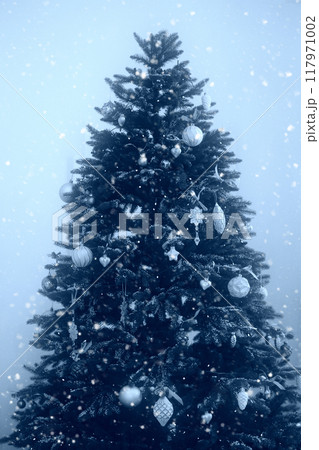 Christmas tree in blue tinting. 117971002