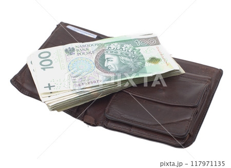 Polish 100 Zloty Notes in Black Quilted Handbag 117971135