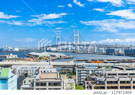 港の見える丘公園から見る横浜ベイブリッジ 117971404