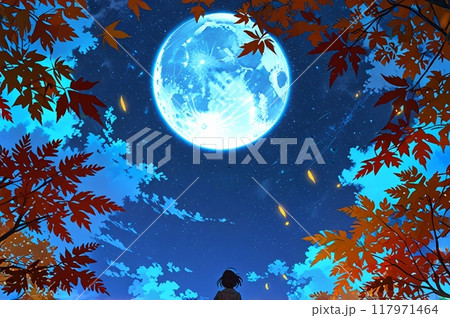 月と紅葉　秋のイメージイラスト 117971464