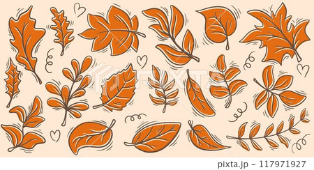 Dried autumn leaves doodle sketch style illustration 117971927