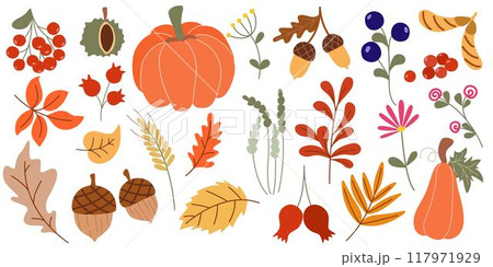Hand drawn autumn elements set 117971929