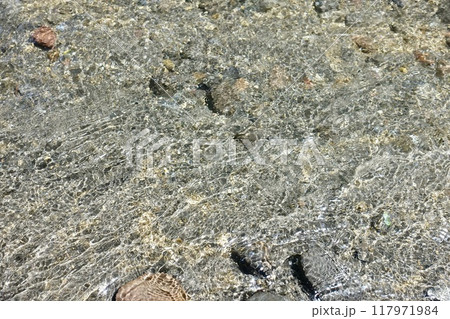 透明な川面の煌めき 117971984