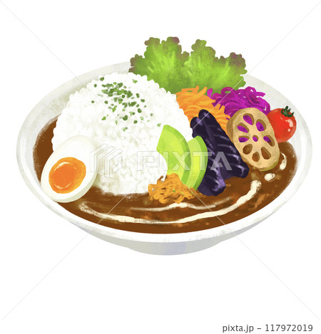 おしゃれなカフェカレー　カレーライスのイラスト 117972019