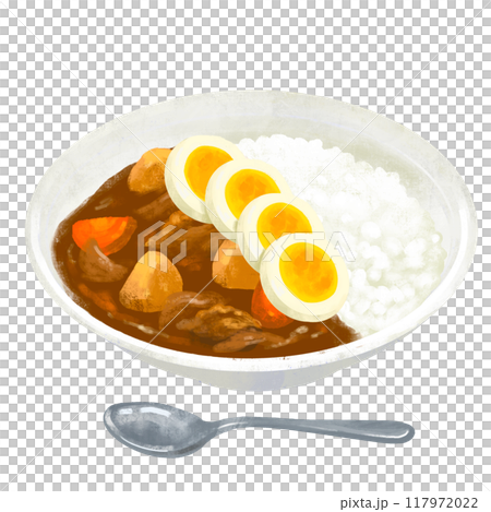 ゆで卵をトッピングしたカレー　カレーライスのイラスト 117972022