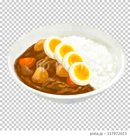 ゆで卵をトッピングしたカレー　カレーライスのイラスト 117972023
