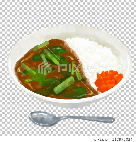 ほうれん草カレー　カレーライスのイラスト 117972024