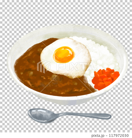 目玉焼きをトッピングしたカレー　カレーライスのイラスト 117972030