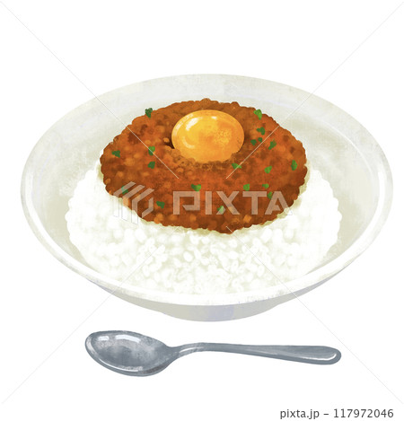 キーマカレー カレーライスのイラスト キーマカレー カレーライスのイラスト 117972046