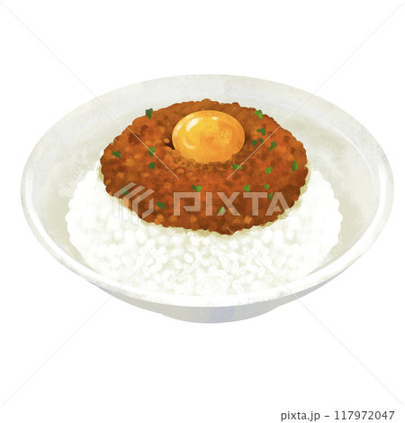 キーマカレー　カレーライスのイラスト 117972047